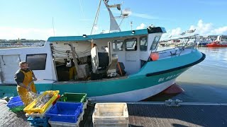 Pescadores franceses obtendrán permisos para acceder a aguas británicas [upl. by Fonsie]