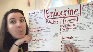 Pharmacology Test 2  Endocrine Things Pituitary Gland Thyroid Adrenal Glands [upl. by Chastity]