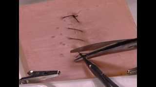 How to Perform a Simple Running Skin Closure suture travel on top [upl. by Akili185]