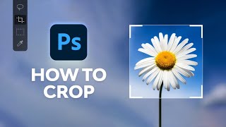 How to Crop in Photoshop [upl. by Margie]