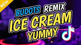 ICE CREAM YUMMY ICE CREAM GOOD  TIKTOK BUDOTS VIRAL REMIX 2024 Disco Djmark Remix [upl. by Eiahpets]