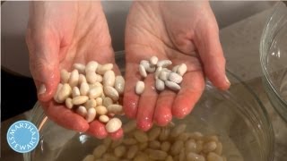 Soaking Cannellini Beans  Martha Stewarts Cooking School  Martha Stewart [upl. by Morissa444]