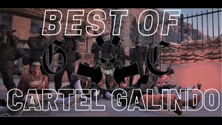 From the Beginning to the End Cartel Galindo💯Bruce Highlights [upl. by Horatio]