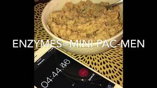 ZenWise Health Review Part 2  Oatmeal Demonstration [upl. by Illil]