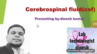 CSF examination  Cerebrospinal fluid  Csf test examination [upl. by Nylhtiak]