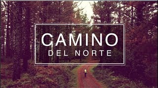 Camino Del Norte Guide  Episode 1 Days 15  835km Hike [upl. by Adnaral537]