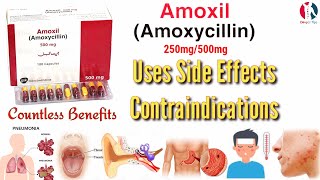 Amoxil 500mg capsule uses in urdu  hindi  Amoxil 500mg capsule   Amoxil capsule  Amoxycillin [upl. by Shah]