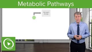 Inborn Errors of Metabolism Metabolic Pathways – Pediatrics  Lecturio [upl. by Dielu]