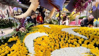 DESFÍLE DE LAS ROSAS 2024 LISTO PARA SU EDICION 135 LOS VOLUNTARIOS DAN EL TOQUE FINAL [upl. by Areek]