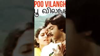 பூ vilangu aathadi isaignani ilayaraja illayaraja tamil melody love song piano music [upl. by Sido886]