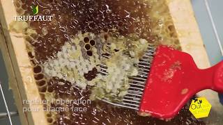 Apiculture  comment extraire le miel   Truffaut [upl. by Somisareg332]