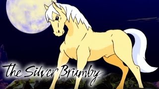 The Silver Brumby  Full Episodes 3639  2 HOUR COMPILATION  Silver Brumby Full Season [upl. by Hyacintha688]