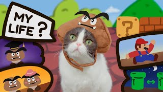 Sad Life of a Goomba Cat  Super Mario Cat Bro Story [upl. by Acina]