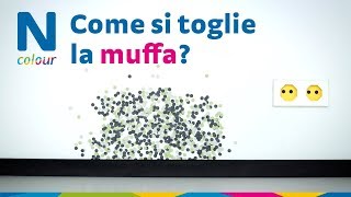 Tutorial  Togliere la muffa [upl. by Huey]