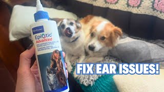 Virbac EpiOtic Advanced Ear Cleanser for Dogs amp Cats  Treating Yeast Bacteria and Wax for Dogs [upl. by Notyrb]