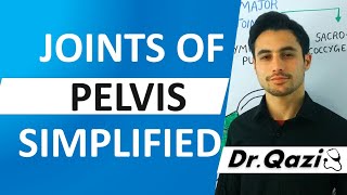 Joints of Pelvis  Pelvic Joints  Ligaments of Pelvis [upl. by Hannan]