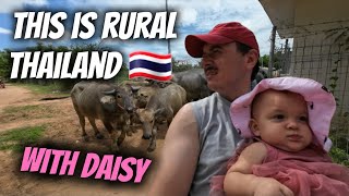 This Is Rural Thailand With Daisy [upl. by Navert]