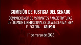 Grupo 5 Aspirantes a magistraturas de tribunales electorales locales [upl. by Azil216]