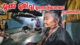 EP 4 മൂക്ക് മുറിച്ച മുത്തശ്ശിമാരുടെ ഗ്രാമത്തിൽ 😲 Ziro Village Life Apatani House  Arunachal Pradesh [upl. by Abihsat]