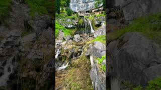 Unforgettable Views at Swiss Waterfalls  swissnature swissalps waterfall shorts [upl. by Veradia]