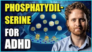 Phosphatidylserine Benefits For ADHD The Research Explaining Why [upl. by Nryhtak741]