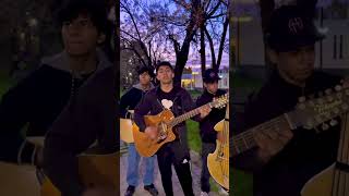 Madonna 👜  Natanael Cano Oscar Maydon Omar Acosta Cover [upl. by Alyahsat]