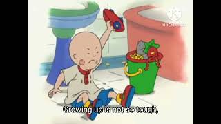 Caillou Theme Song Lyrics 2002 [upl. by Eelek]