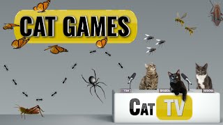 Cat Games  Ultimate Cat TV Bugs and Butterflies Compilation Vol 2  Videos for Cats to Watch🐱 [upl. by Annai]