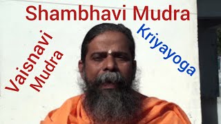 Shambhavi Vaisnavi Mudra Kriyayoga meditation Swami Nityananda Giri [upl. by Tergram]