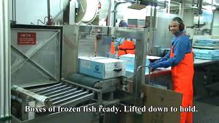 Freezing trawler fishing and processing fish fillets [upl. by Adriene]