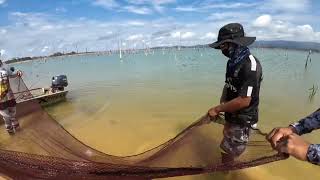 Unbelievable fish after fish after fish after fish  Record 🎣 Stuwmeer  Suriname 📍🇸🇷 [upl. by Island764]