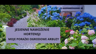 Nawożenie i podcięcie Hortensji  Niespodzianka  Papryki posadź do donic żeby były na przyszły rok [upl. by Derna216]