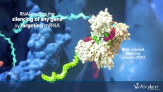 Cosè e come funziona la tecnologia della RNA interference [upl. by Hilda]