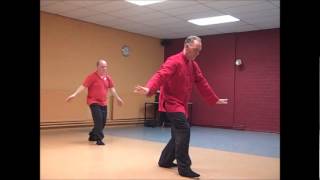 Taiji qigong Shibashi [upl. by Baillie]