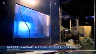 Le Musée Océanographique de Monaco dévoile ses nouveaux aquariums [upl. by Lowenstein235]