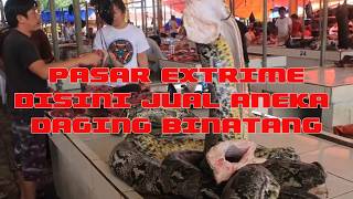 Pasar Extrime  Disini Di Jual Aneka Daging Binatang [upl. by Arataj825]