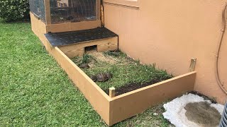 How to make an Outdoor Tortoise Enclosure [upl. by Florri]