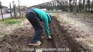 Toms Moestuin 2016  21  Vroege aardappelen planten  poten [upl. by Nodnalb]