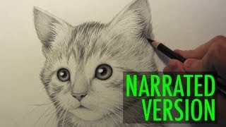 How to Draw a Kitten Narrated Step by Step [upl. by Karlens]