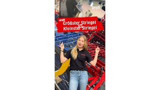 Größter Striegel VS kleinster Striegel  Agritechnica mit Anouk 33 [upl. by Noskcaj988]