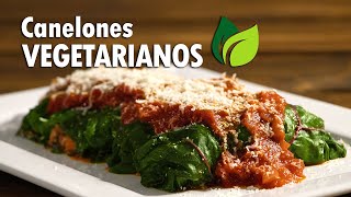 CANELONES VEGETARIANOS FÁCILES 🥦 ▶ RINDE para 24 PORCIONES bien GENEROSAS [upl. by Enahsed]