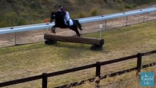 STANDARDBRED EVENTING Sydney International Equestrian Centre [upl. by Eek]