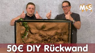 50€ Terrarium Rückwand bauen  DIY Anleitung  Reptil TV [upl. by Moffat]