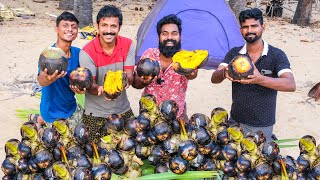 പനനൊങ്ക് ചുട്ടത്  Grilled Palm Fruit Fry  M4 Tech [upl. by Ocsirf]