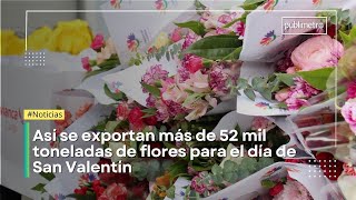 Así es como Colombia exporta más de 50 mil toneladas de flores para el día de San Valentín [upl. by Atalee16]