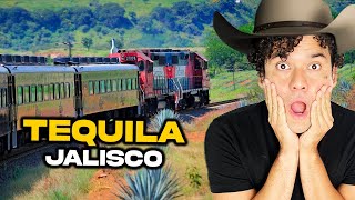 TEQUILA JALISCO Pueblo Mágico 🇲🇽 ¿Qué HACER ✅ Guía DEFINITIVA [upl. by Nilesoy]