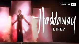 Haddaway  Life Official Video [upl. by Salohcim]