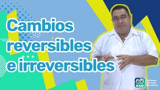 Cambios reversibles e irreversibles  Experimento casero [upl. by Wyon]