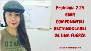 Problema de Descomposición de Fuerzas Ejercicio 225 Libro BEER [upl. by Lorraine86]