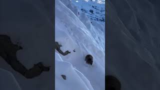 Ye dekho Lahaul Spiti mein kya mila snow snowman [upl. by Aititel]